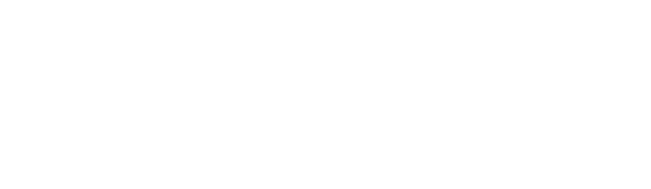 MISTI logo