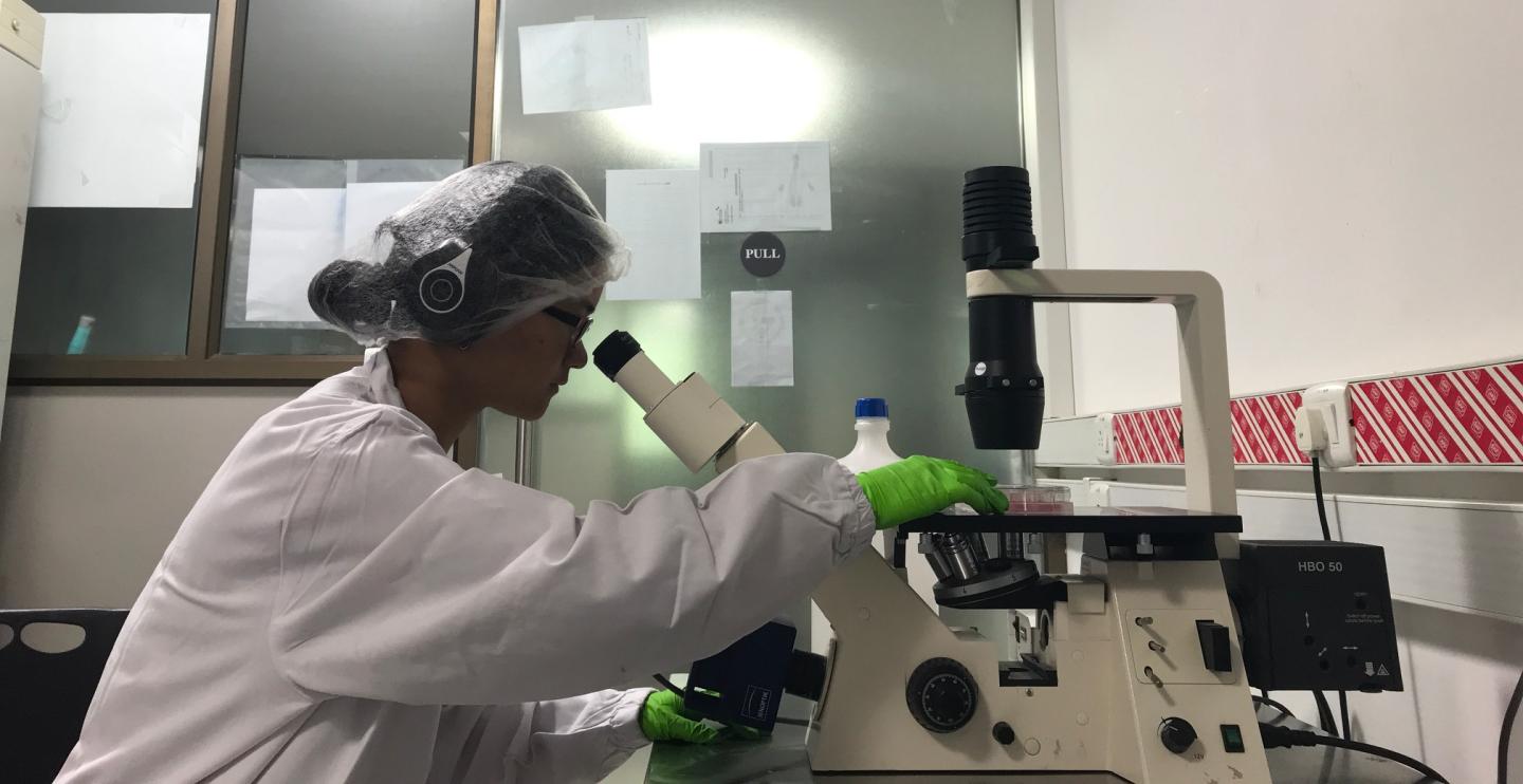 Student with microscope in Lab