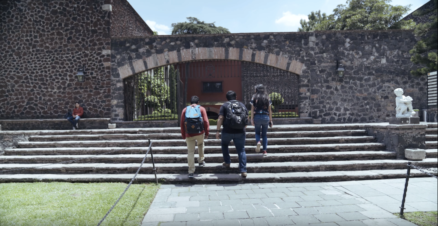 Students walking up stairs