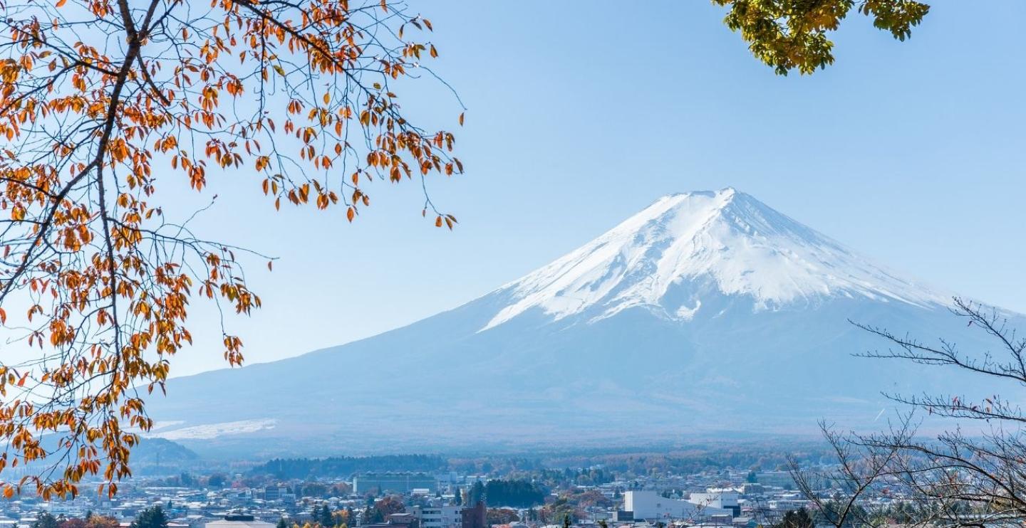 mount fuji in the fall