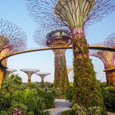 Gardens by the bay in Singapore