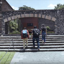 Students walking up stairs