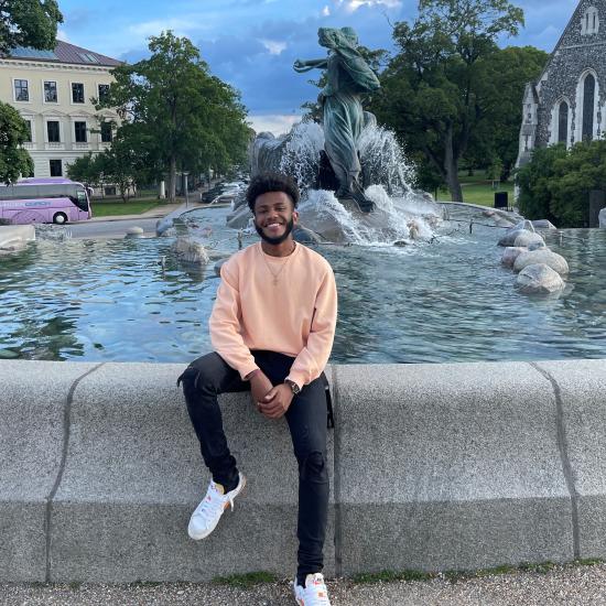 Hector in front of a fountain